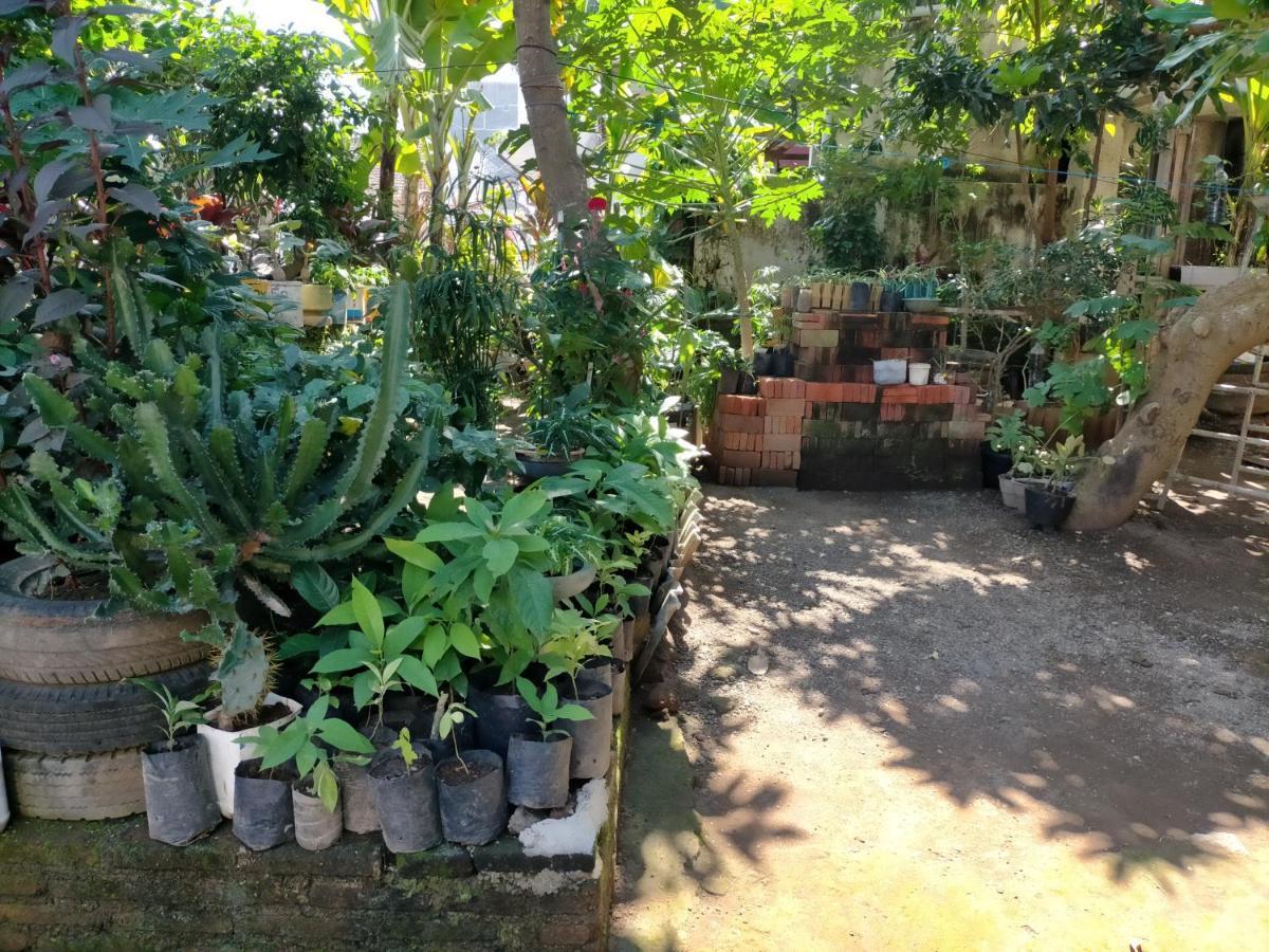 Cheap Inn Banyuwangi Баньюванги Экстерьер фото